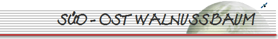 SD - OST WALNUSSBAUM     