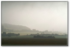 Morgennebel